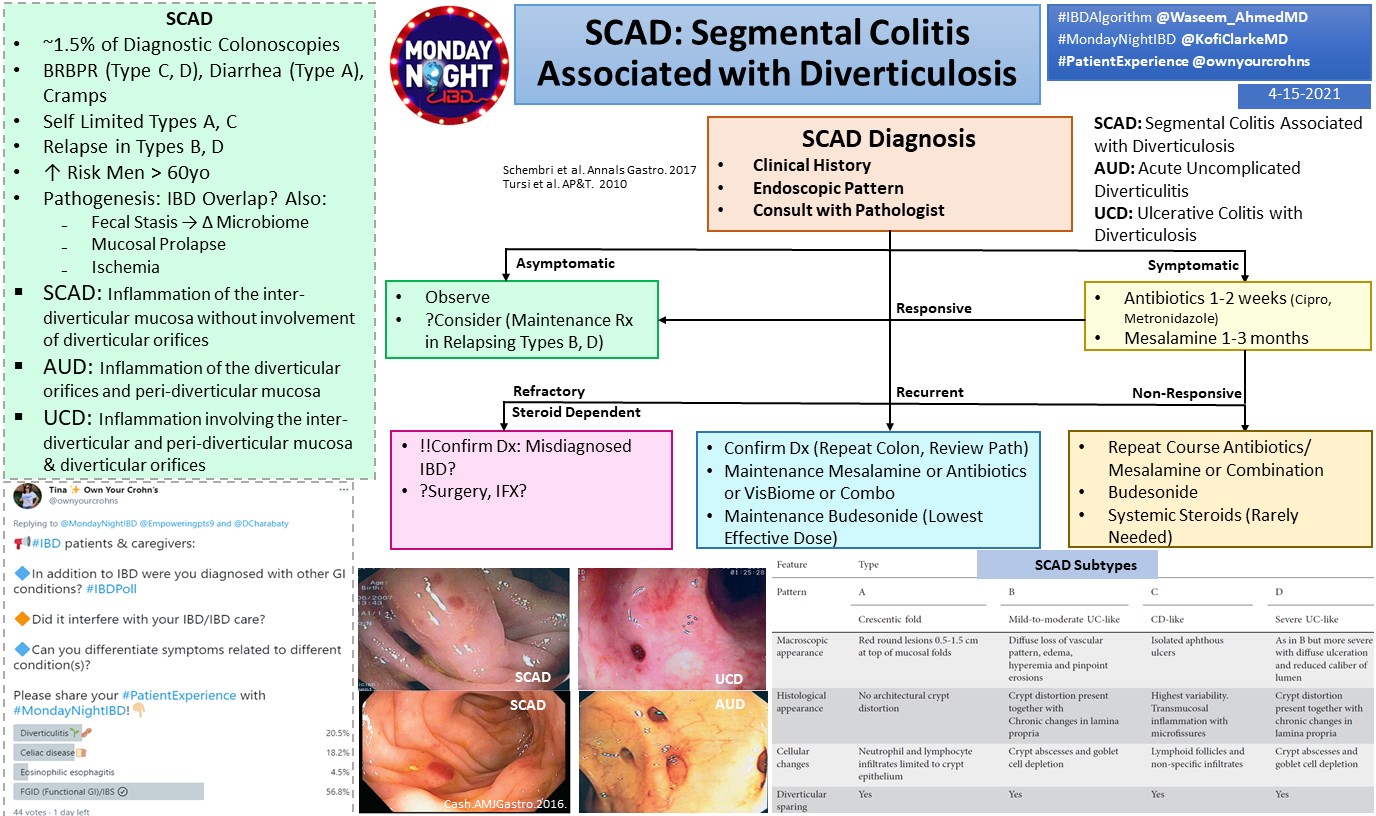 Probiotic For Diverticulosis Probiotic For Diverticulosis