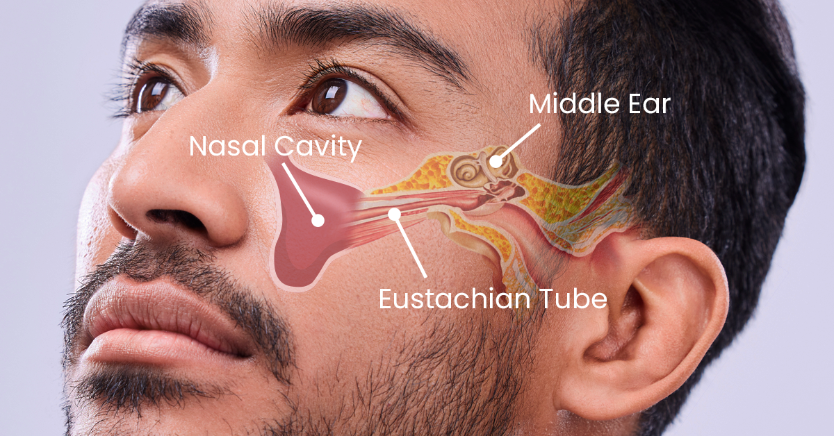 Sinus Infection But Not Congested