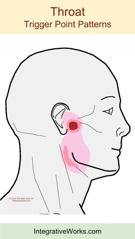 Sinus Pressure And Earache