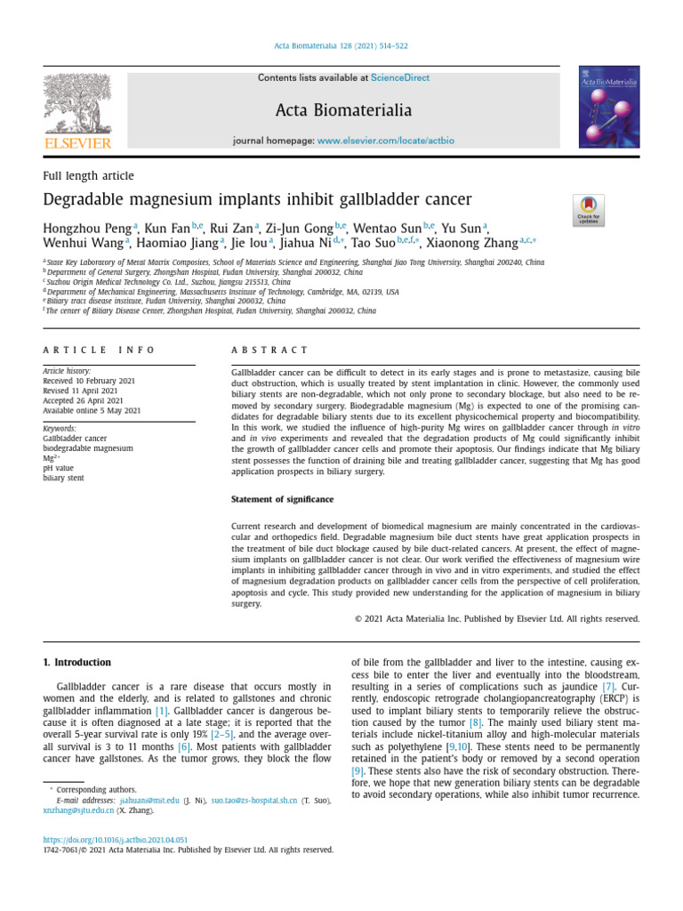 Stent In Gallbladder
