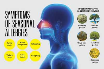 Tea For Seasonal Allergies: Find Relief Naturally