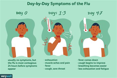 The Flu Day By Day