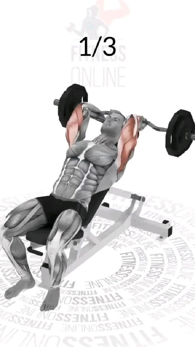 Treino Para O Triceps