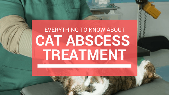 Ulcer And Abscess Treatment Guide