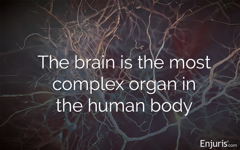 What Causes Brain Bleed In Babies? Symptoms Guide What Causes Brain Bleed In Babies? Symptoms Guide