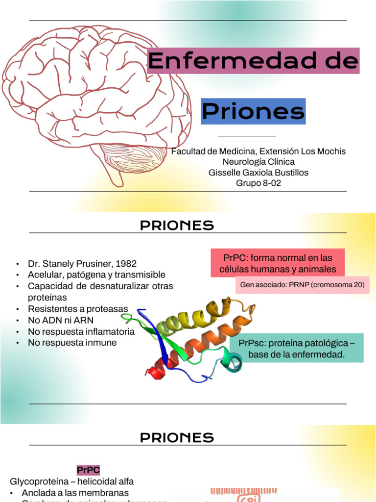 What Causes Enfermedad De Priones? Expert Answers