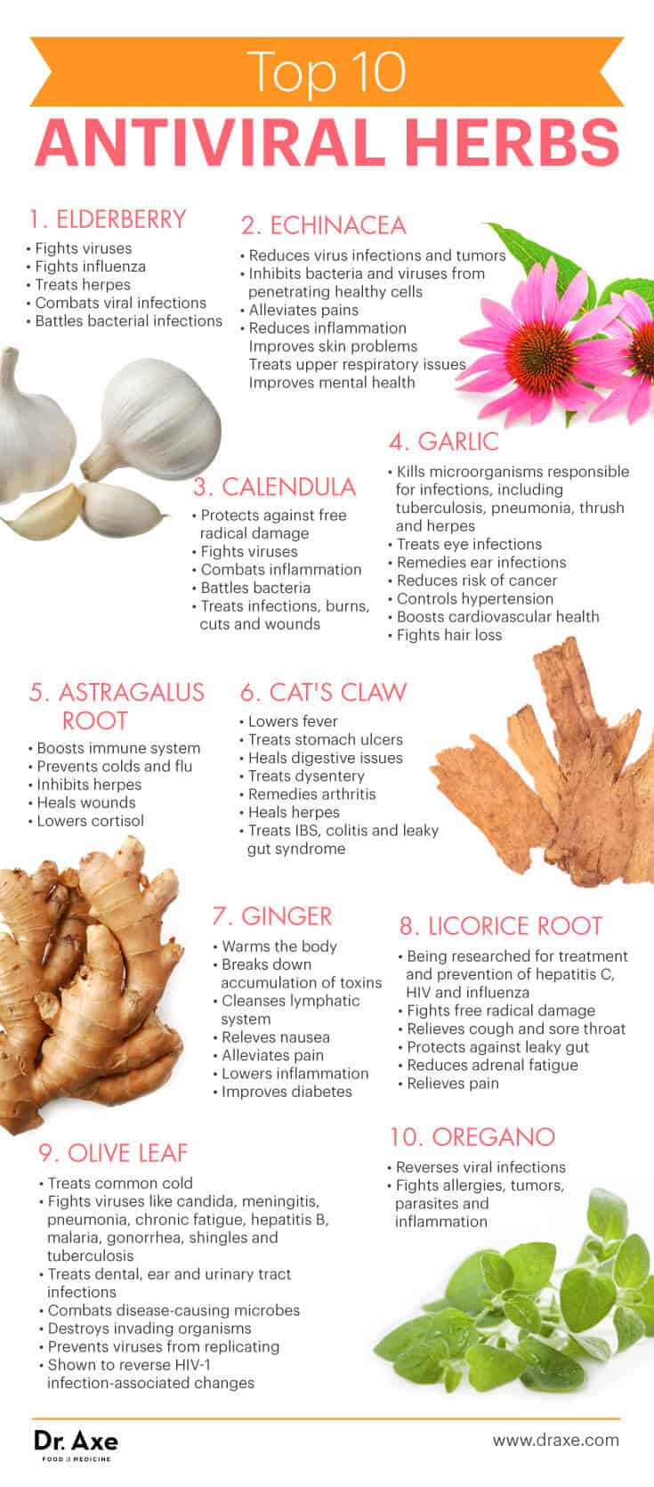 What Cures Gum Infection? Garlic Remedies What Cures Gum Infection? Garlic Remedies