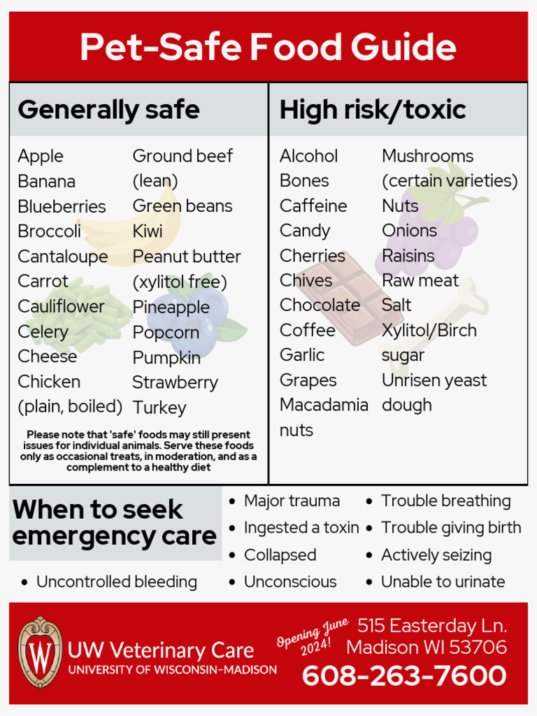 What Happens If I Eat After Filling? Safe Food Guide
