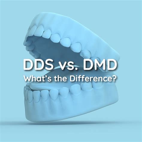 What Is Dds And Dmd