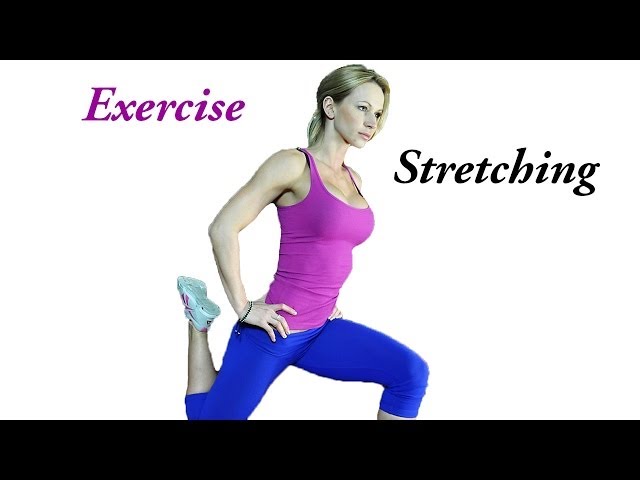 What's Better Chiro Vs Pt? Relief Guide