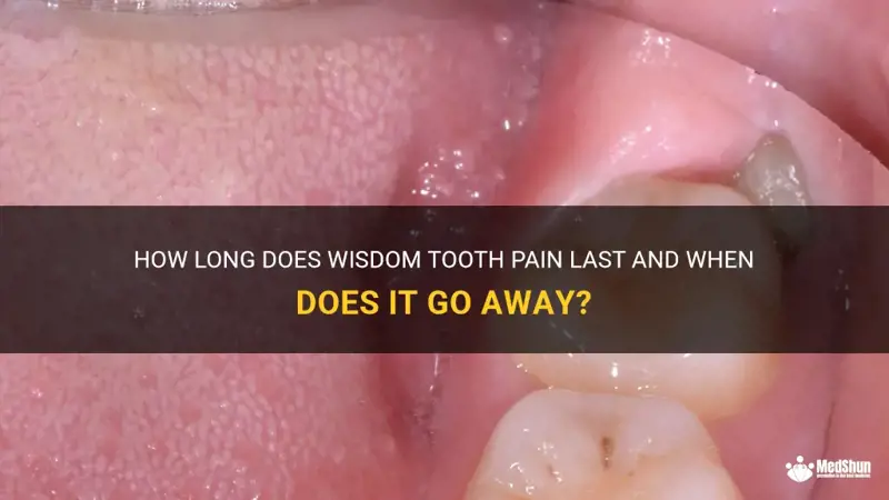 When Does Wisdom Tooth Smell Go Away? Healing Tips