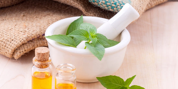Will Coconut Oil Heal Cavities Will Coconut Oil Heal Cavities