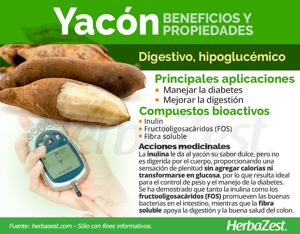Yacon Para Que Sirve
